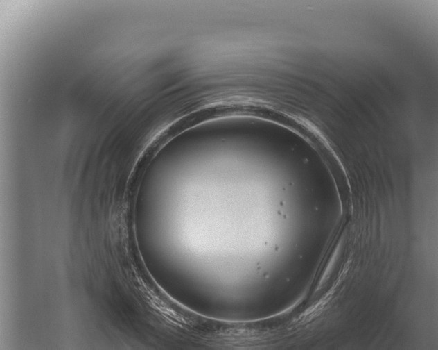 X0000060240783200511041256