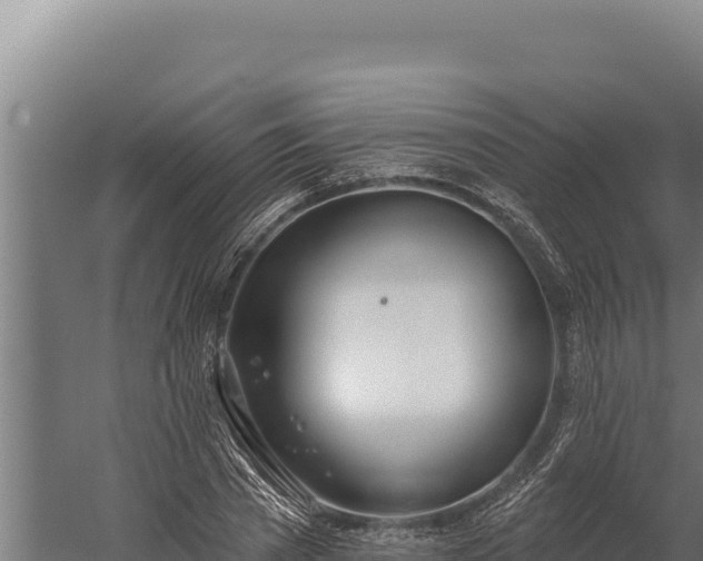 X0000060240785200511041256