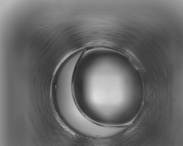 X0000060240788200511041256