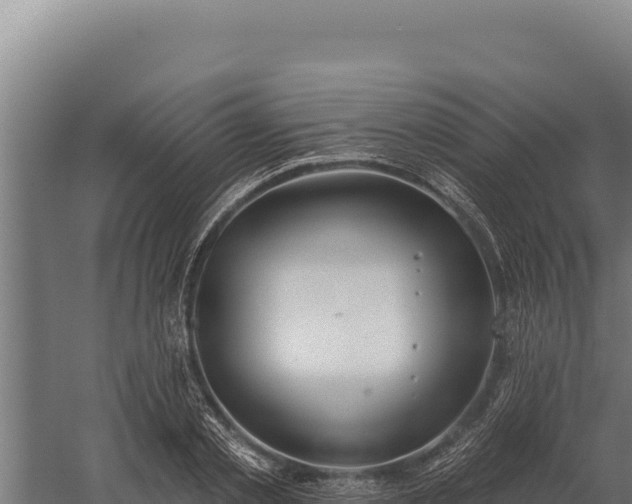 X0000060240789200511041256