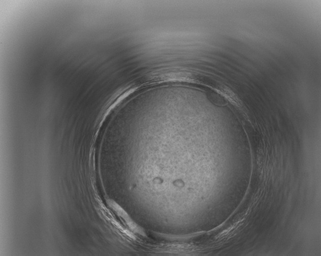 X0000060240790200511041256