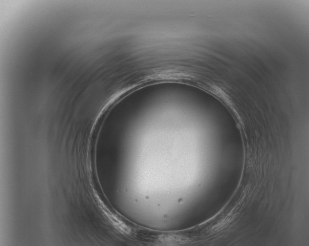 X0000060240795200511041256