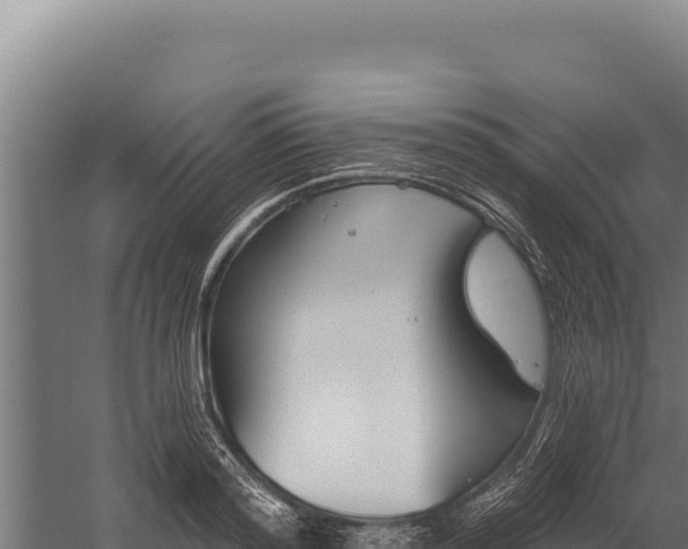 X0000060240796200511041255