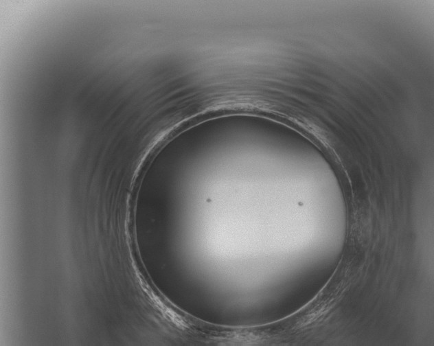 X0000060240799200511041255