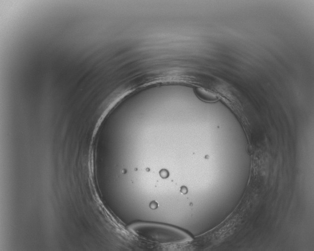 X0000060240804200511041255