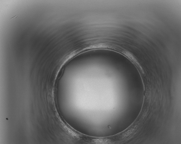 X0000060240805200511041255