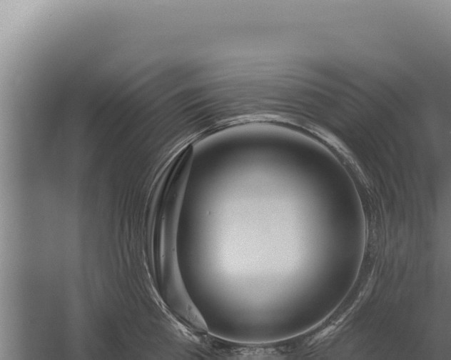 X0000060240809200511041255