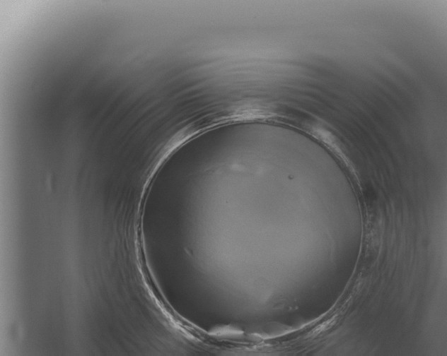 X0000060240810200511041255