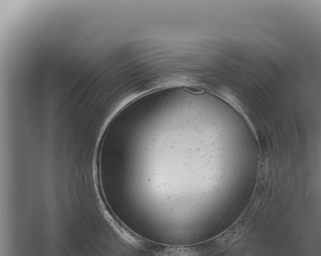 X0000060240811200511041255