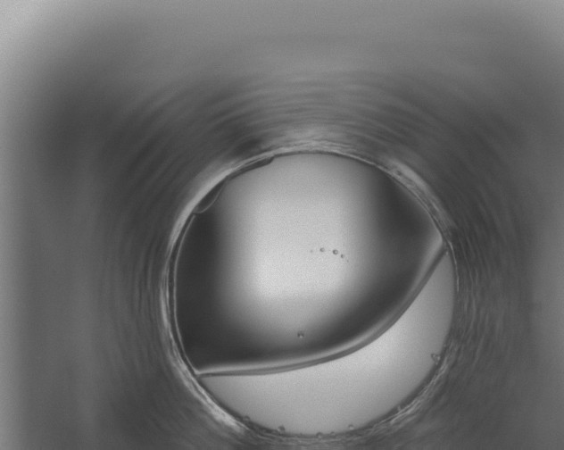 X0000060240812200511041255