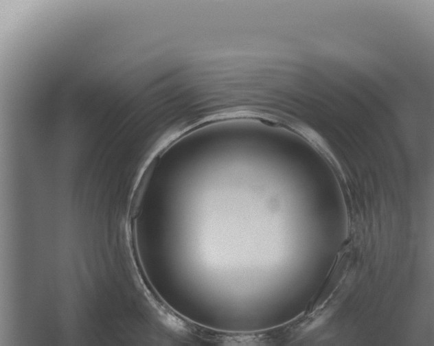 X0000060240813200511041255