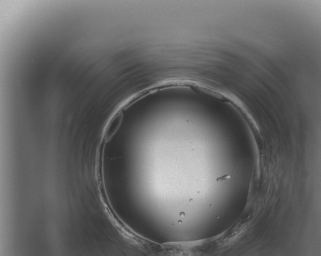 X0000060240815200511041255