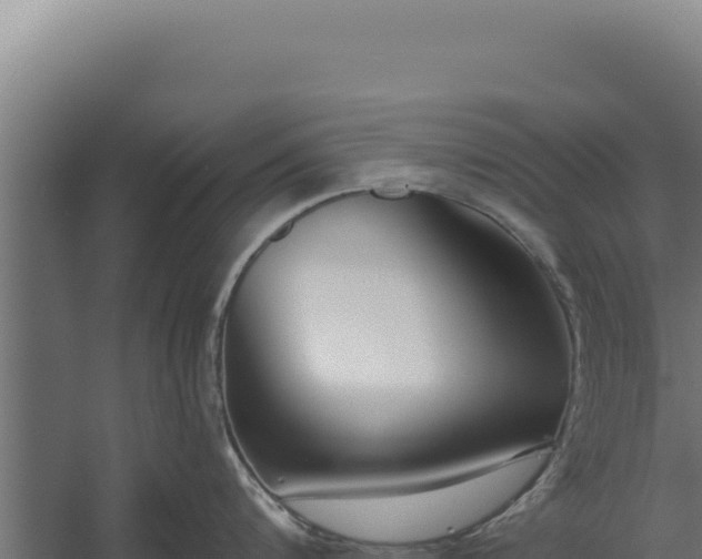 X0000060240816200511041255