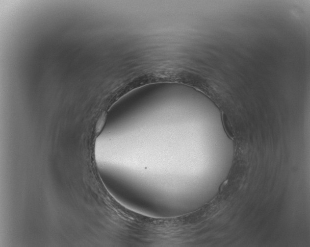 X0000060240817200511041254