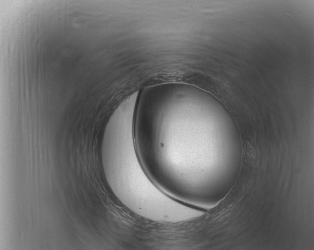 X0000060240818200511041254