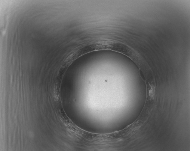 X0000060240819200511041254