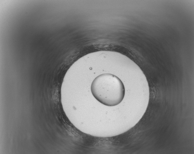 X0000060240820200511041254