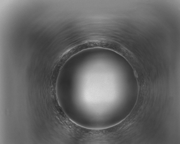 X0000060240822200511041254