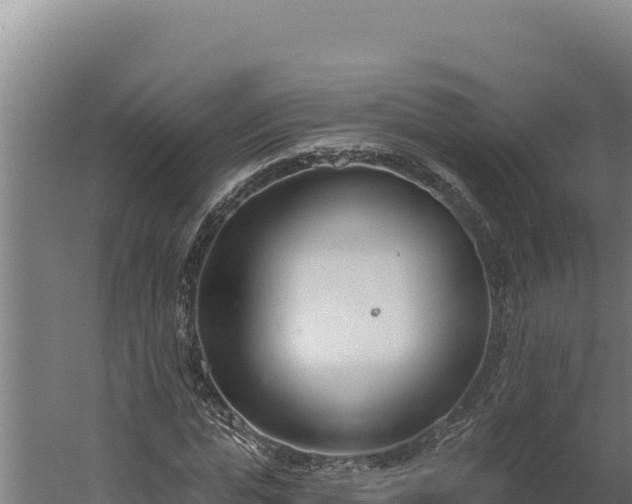 X0000060240823200511041254