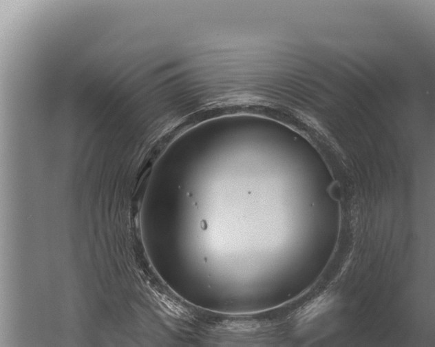 X0000060240825200511041254