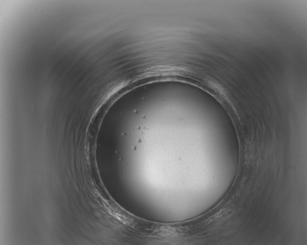 X0000060240827200511041255