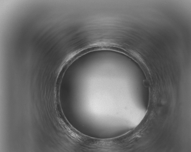 X0000060240831200511041255