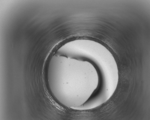 X0000060240832200511041255