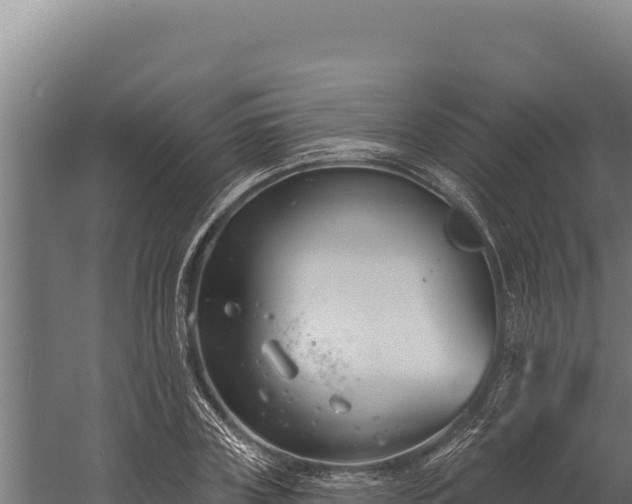 X0000060240835200511041255