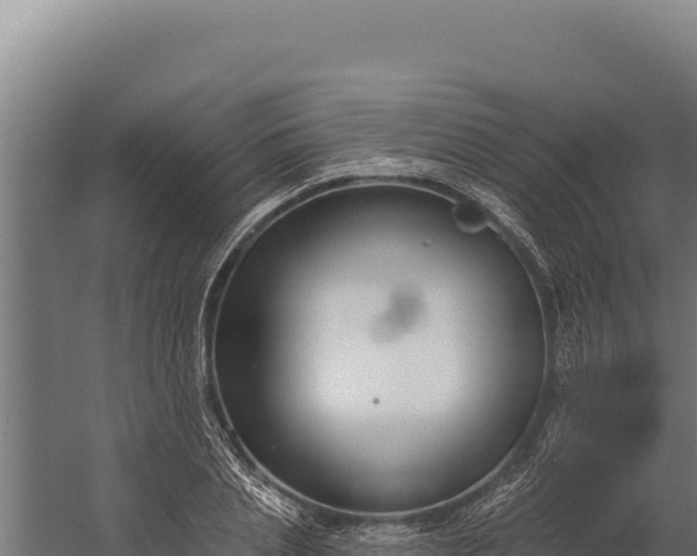 X0000060240837200511041255