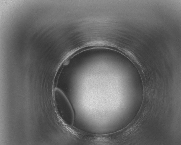 X0000060240839200511041255