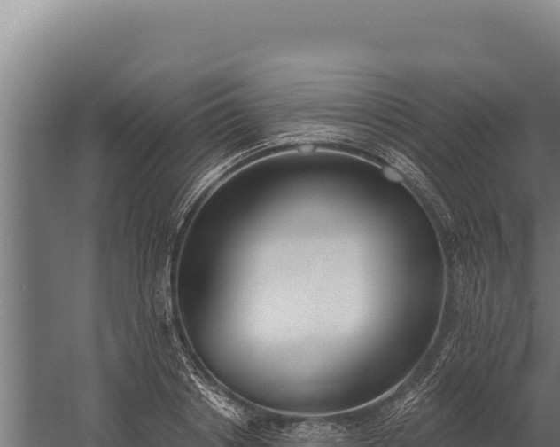 X0000060240842200511041255