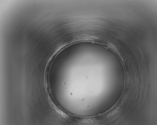 X0000060240843200511041255