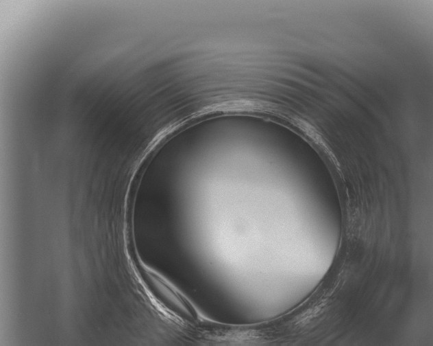 X0000060240845200511041255