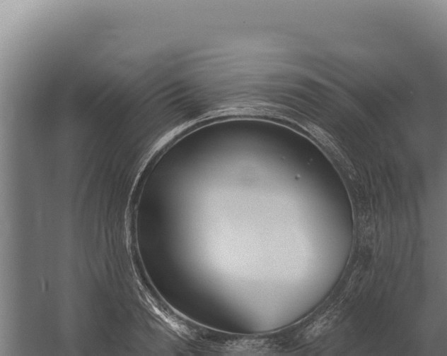 X0000060240846200511041255