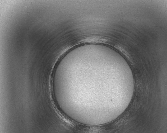 X0000060240848200511041255