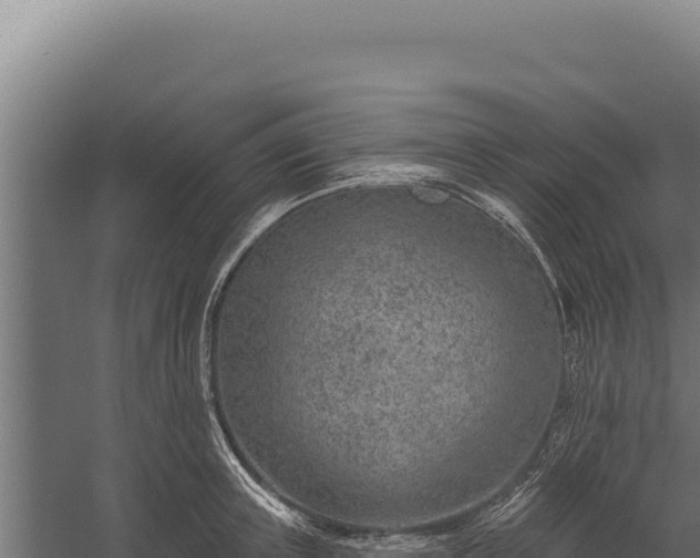 X0000060240851200511041255