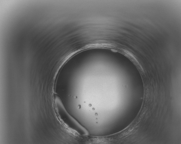 X0000060240852200511041255