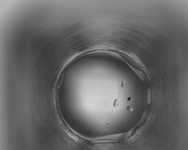 X0000060240854200511041255