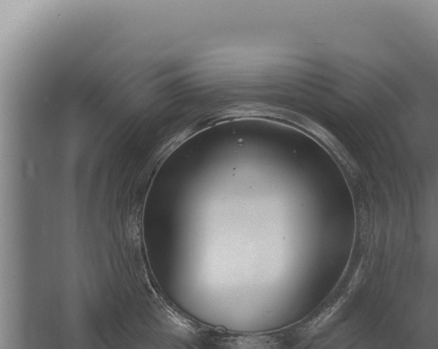 X0000060240857200511041255