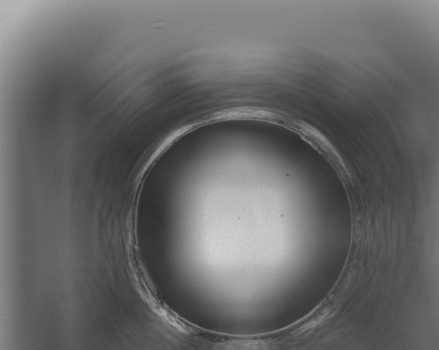 X0000060240860200511041255