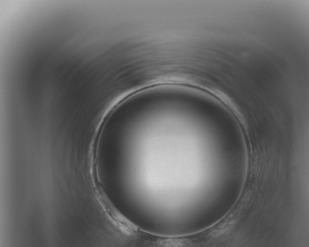 X0000060240862200511041255