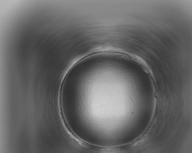 X0000060240863200511041255