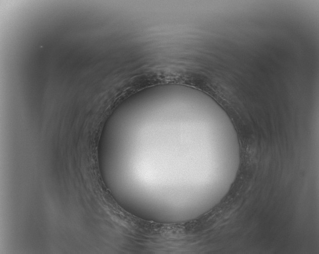 X0000060240865200511041254