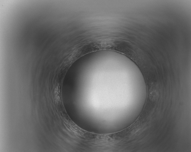 X0000060240866200511041254