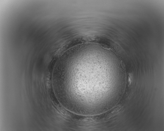 X0000060240867200511041254