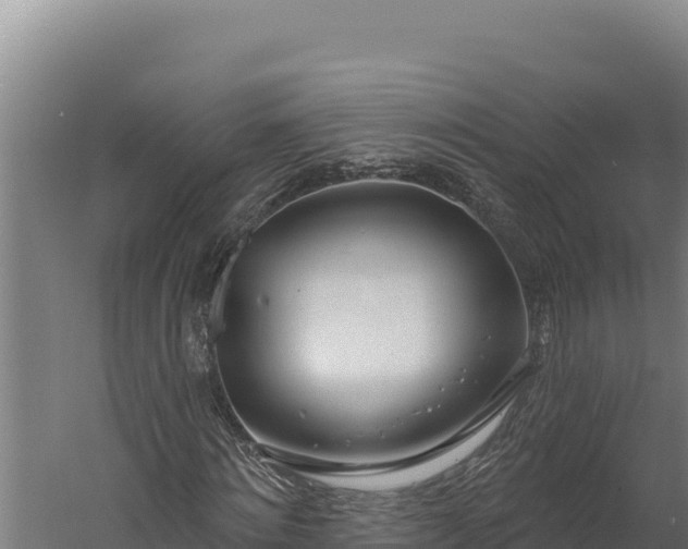 X0000060240868200511041254