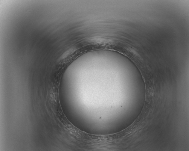 X0000060240869200511041254