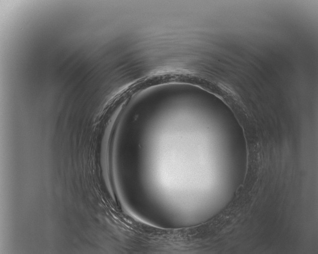 X0000060240872200511041254