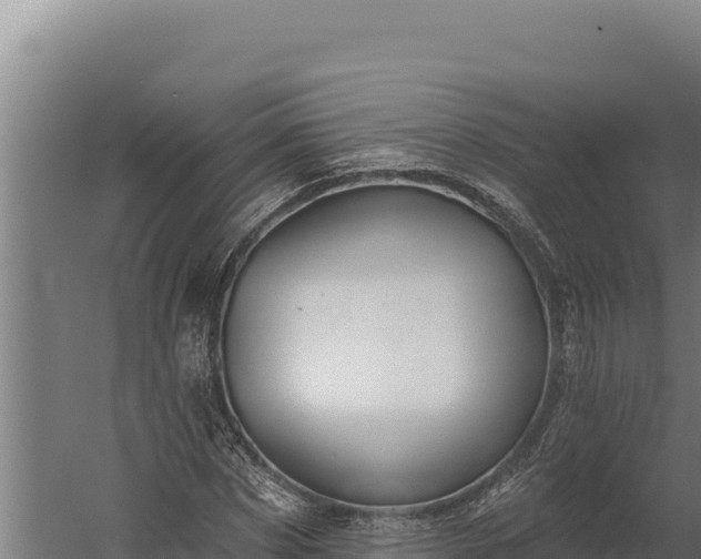 X0000060240873200511041254