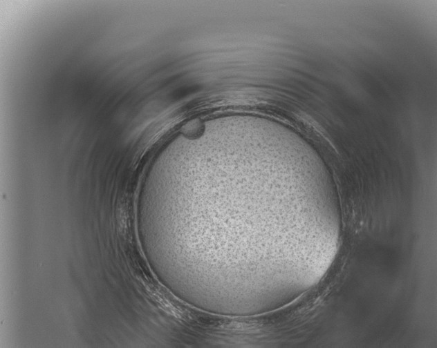 X0000060240874200511041254